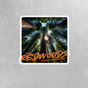Redwood National Park Sticker - California Redwoods Sticker - Travel Stickers
