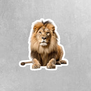 Lion Sticker | Lion | Male Lion Sticker