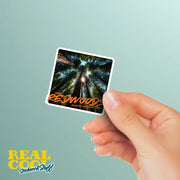 Redwood National Park Sticker - California Redwoods Sticker - Travel Stickers
