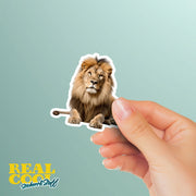 Lion Sticker | Lion | Male Lion Sticker