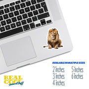 Lion Sticker | Lion | Male Lion Sticker