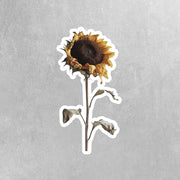 Dry Sun Flower Sticker - Single Dry Sun Flower Sticker - Flower Sticker
