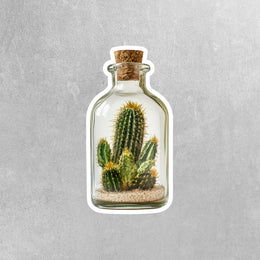 Cactus In A Bottle Sticker - Cactus Sticker - Cactus Decal