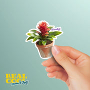 Bromeliad Sticker - Plant Sticker - Bromeliad Geek Decal