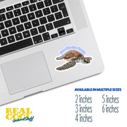 Save The Sea Turtles Sticker - Environmental Sticker - Sea Turtle Sticker