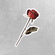Dry Rose Sticker - Single Dry Rose Sticker - Flower Sticker