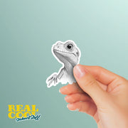Pencil Sketch Iguana Sticker - Iguana Drawing Sticker - Whimsical Iguana Sticker