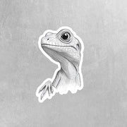Pencil Sketch Iguana Sticker - Iguana Drawing Sticker - Whimsical Iguana Sticker