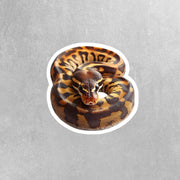Ball Python Sticker - Python Sticker - Ball Python Decal