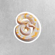 Albino Ball Python Sticker - Albino Python Sticker - Albino Ball Python Decal