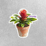 Bromeliad Sticker - Plant Sticker - Bromeliad Geek Decal