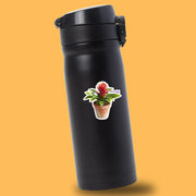 Bromeliad Sticker - Plant Sticker - Bromeliad Geek Decal