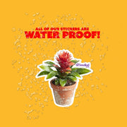 Bromeliad Sticker - Plant Sticker - Bromeliad Geek Decal
