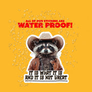 It Is What It Is Sticker - Funny Raccoon Meme Sticker - Cute Raccoon Decal
