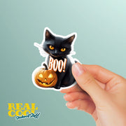Black Cat Pumpkin - Halloween Sticker - Black Car Sticker