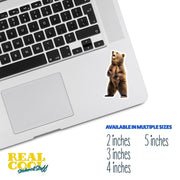 Grizzly Bear Sticker - Wilderness Bear Sticker for Nature Lovers - Explore the Great Outdoors, Adventure Decor & Gifts