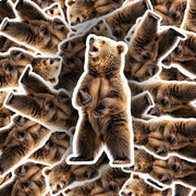 Grizzly Bear Sticker - Wilderness Bear Sticker for Nature Lovers - Explore the Great Outdoors, Adventure Decor & Gifts