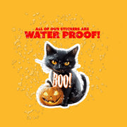 Black Cat Pumpkin - Halloween Sticker - Black Car Sticker