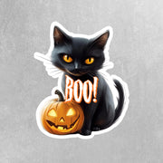 Black Cat Pumpkin - Halloween Sticker - Black Car Sticker