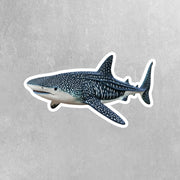 Whale Shark Sticker | Marine Life Vinyl Decal | Ocean Art for Water Lovers & Nature Enthusiasts | Cute Fish Decor