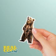 Grizzly Bear Sticker - Wilderness Bear Sticker for Nature Lovers - Explore the Great Outdoors, Adventure Decor & Gifts