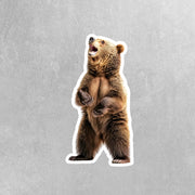Grizzly Bear Sticker - Wilderness Bear Sticker for Nature Lovers - Explore the Great Outdoors, Adventure Decor & Gifts