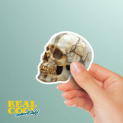 Skull Sticker | Cool Decal for Laptop, Car, & Phone | Durable Waterproof Design | Unique Halloween Gothic Decor
