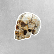 Skull Sticker | Cool Decal for Laptop, Car, & Phone | Durable Waterproof Design | Unique Halloween Gothic Decor