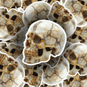 Skull Sticker | Cool Decal for Laptop, Car, & Phone | Durable Waterproof Design | Unique Halloween Gothic Decor