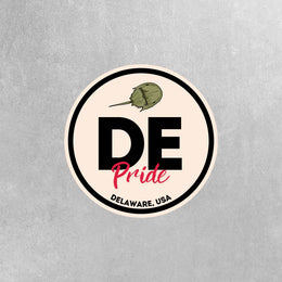 Delaware Pride Sticker - Delaware State Abbreviation Decal for Car, Laptop & Water Bottle | Perfect Delaware Gift Souvenir