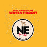 Nebraska Pride Sticker - Nebraska State Abbreviation Decal for Car, Laptop & Water Bottle | Perfect Nebraska Gift Souvenir