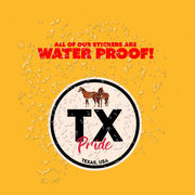 Texas Pride Sticker - Texas Abbreviation Decal for Car, Laptop & Water Bottle | Perfect Texas Gift Souvenir