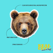 Grizzly Bear Sticker | Brown Bear Decal | Grizzly Bear Decal