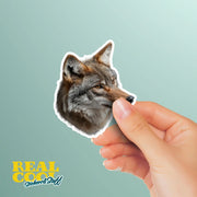 Wolf Sticker | Wolf Head Decal | Wolf Decal