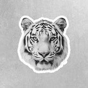 White Tiger Sticker | Tiger Head Decal | Albino Tiger Sticker