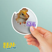 I Just Got Laid Sticker - Funny Chicken Sticker - Funny Chick Sticker