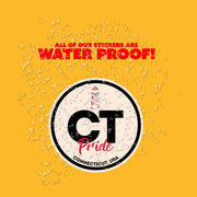 Connecticut Pride Sticker - Connecticut State Abbreviation Decal for Car, Laptop & Water Bottle | Perfect Connecticut Gift Souvenir