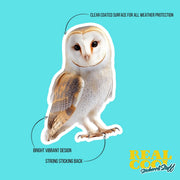 Barn Owl Sticker | Cute Wildlife Decal for Nature Lovers | Perfect Gift for Bird Watchers & Owl Enthusiasts