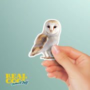 Barn Owl Sticker | Cute Wildlife Decal for Nature Lovers | Perfect Gift for Bird Watchers & Owl Enthusiasts