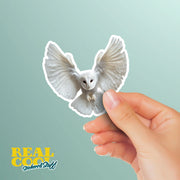 Barn Owl Sticker | Cute Wildlife Decal for Nature Lovers | Perfect Gift for Bird Watchers & Owl Enthusiasts