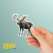 Moose Sticker - Cute Moose Vinyl Decal for Home Decor, Laptop, Water Bottle & More - Woodland Animal Art