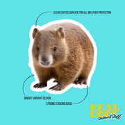 Wombat Sticker | Cute Animal Vinyl Decal | Perfect for Laptops, Water Bottles & Journals | Gift for Animal Lovers