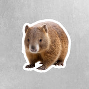 Wombat Sticker | Cute Animal Vinyl Decal | Perfect for Laptops, Water Bottles & Journals | Gift for Animal Lovers