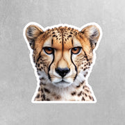 Cheetah Sticker - Cheetah Decal - Wild Animal Stickers