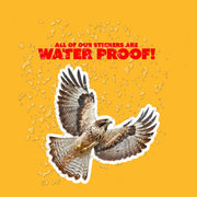 Hawk Sticker | Flying Hawk Sticker | Perfect Gift for Bird Watchers & Hawk Enthusiasts