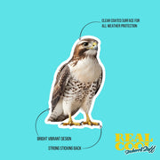 Hawk Sticker | Hawk Decal | Perfect Gift for Bird Watchers & Hawk Enthusiasts
