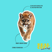 Cougar Sticker | Cougar Hunting Decal | Cougar Gift