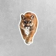 Cougar Sticker | Cougar Hunting Decal | Cougar Gift