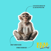 Monkey Sticker - Cute Animal Vinyl Decal, Monkey Wall Art, Fun Jungle Decor, Car Stickers & Party Favors