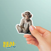 Monkey Sticker - Cute Animal Vinyl Decal, Monkey Wall Art, Fun Jungle Decor, Car Stickers & Party Favors